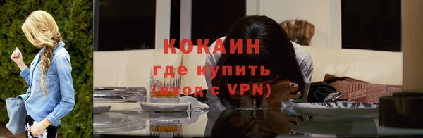 a pvp Пересвет